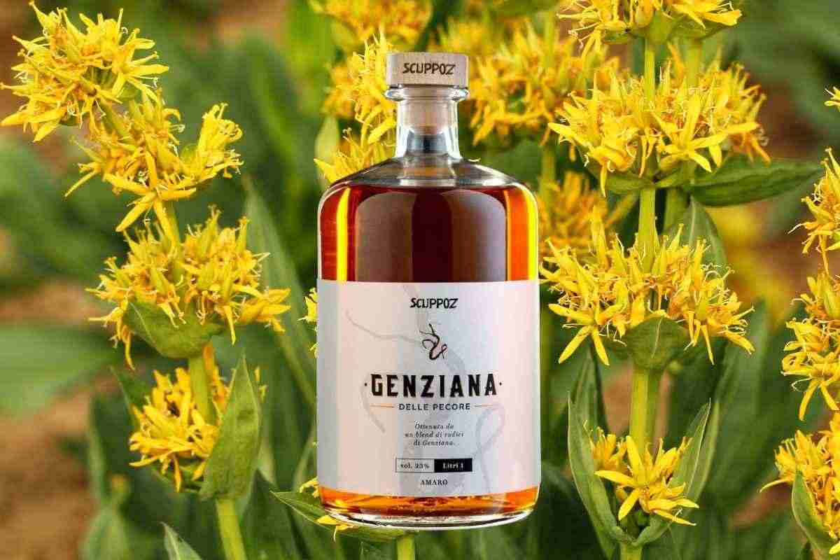 Storia e tradizione del liquore alla genziana. Le caratteristiche uniche della genziana abruzzese. Genziana: il liquore digestivo per eccellenza. 